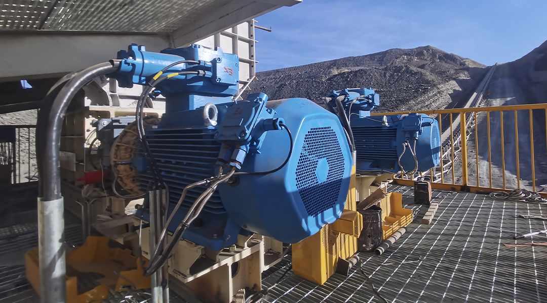 1000TPH Coal Crushing