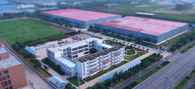 Company Profile