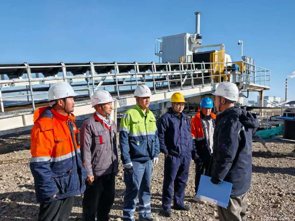 Bauxite Crushing Project